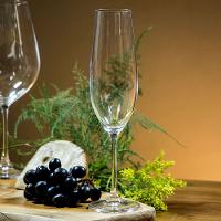 Taça Champanhe Bohemia Sarah Cristal 260 ml 6 Peças - 5