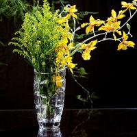 Vaso Vidro Transparente 19 x 9 x 9 cm - 7