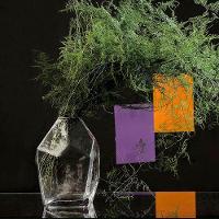 Vaso Vidro Transparente 23 x 17 x 14 cm - 9