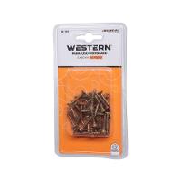 Parafuso Chipboard 3 x 20 Milímetros 42 Unidades - 2