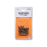 Parafuso Chipboard 3,5 x 25 Milímetros 35 Unidades - 2