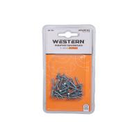 Parafuso Galvanizado 3 x 16 Milímetros 45 Unidades - 1