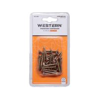 Parafuso Chipboard 4 x 30 Milímetros 25 Unidades - 2