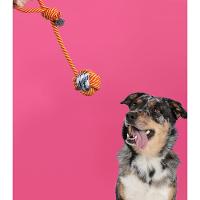 Brinquedo para Cães Corda de 41,5cm - Ringo - 1