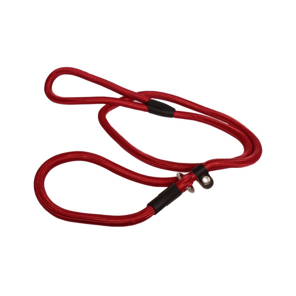 Guia Unificada para Adestramento de Cães até 25kg - Ringo - 3