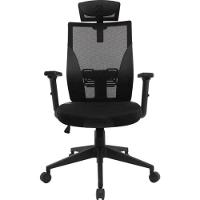 Cadeira Ergonômica Fortrek Ergo Shield Mesh Preta - 1