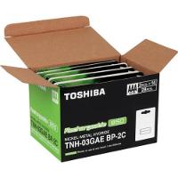Pilha Recarregável AAA 1,2v 950mAh TNH03GAE (Com2 Pilhas) Toshiba - 10