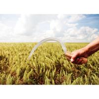 Foicinha Com Dentes Com Cabo Tramontina - 2