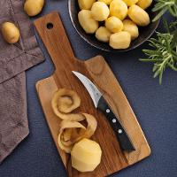 Faca para Tornear Tramontina Solutta Inox 3" - 2