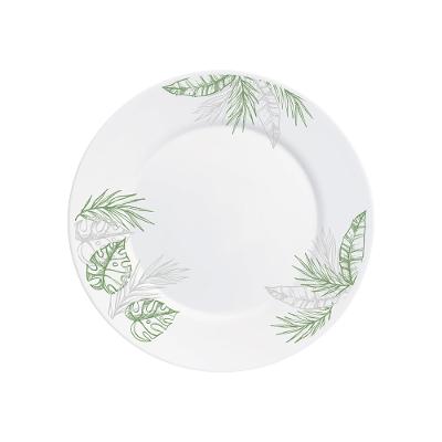 Prato Raso Jungle Hauskraft 26,5cm