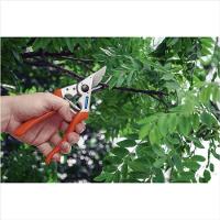 Mola Helicoidal Biconica para Tesoura Tramontina - 2