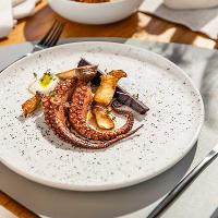 Jogo de 6 Pratos Sobremesa 20 Cm Oxford Flat Chuvisco - 4