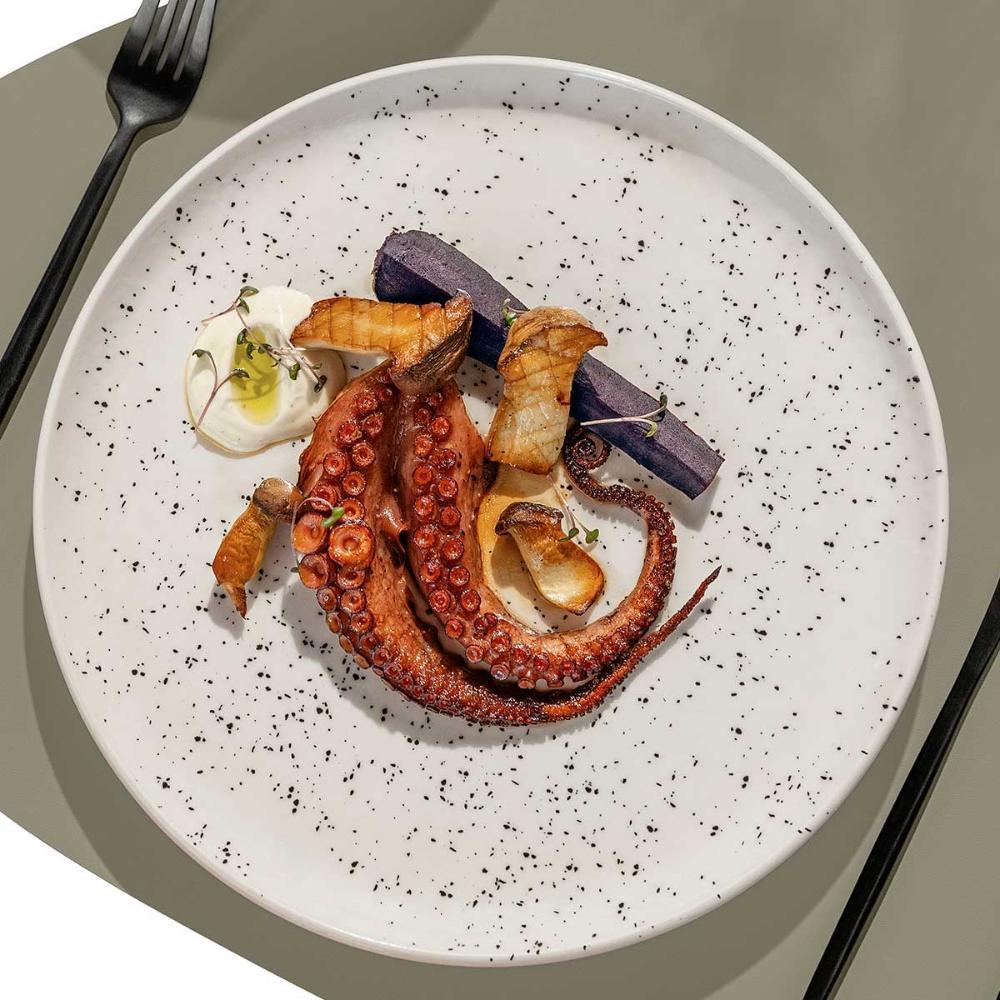 Aparelho de Jantar e Chá 30 Peças Oxford Flat Chuvisco - 6