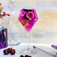 Jogo de 6 Taças de Cristal Para Coquetel 500 Ml Classic - 3