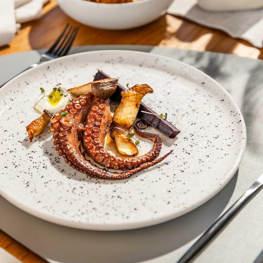 Aparelho de Jantar e Lanche 16 Peças Oxford Flat Chuvisco - 9