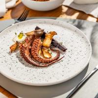 Aparelho de Jantar e Lanche 16 Peças Oxford Flat Chuvisco - 9