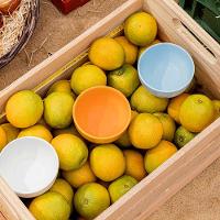 Jogo De 4 Tigelas 300 Ml Oxford Preto - 3